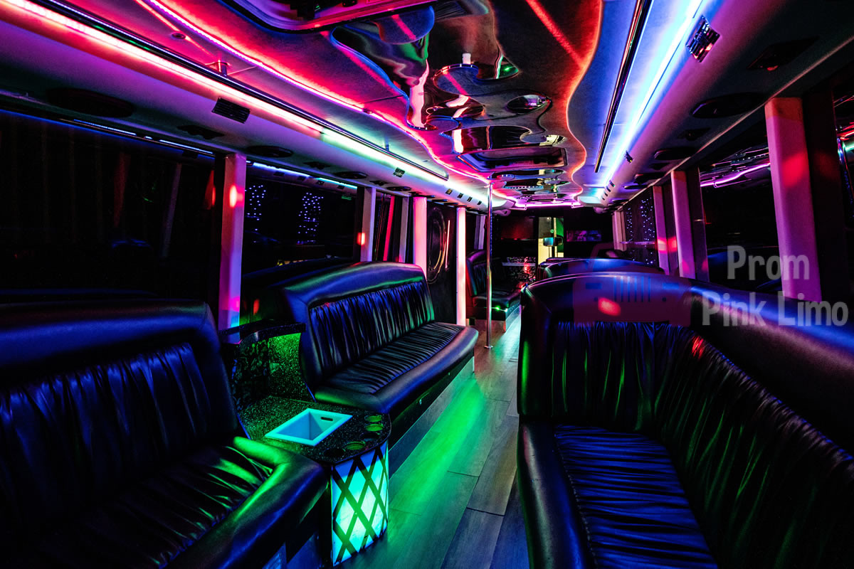 Birthday In A Party Bus2